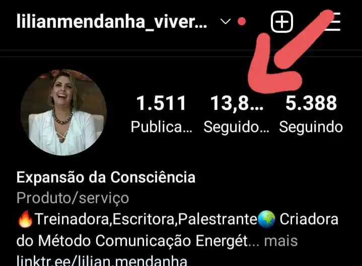 Seguidores-Insta-Lilian-vef